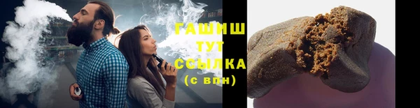 гашик Алексин