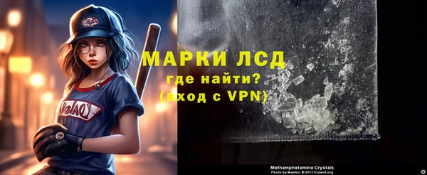 гашик Алексин